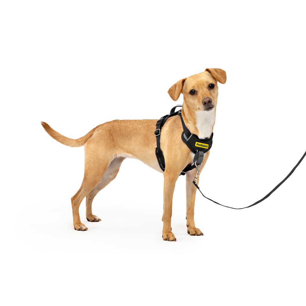 Easy Walk® Comfort No-Pull Dog Harness